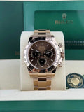 Rolex Daytona 40 Chocolate Brown/Black Index Oyster 2026 Unworn 126505