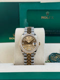 Rolex Datejust 31 Champange Diamond Bezel Jubilee 2026 Unworn 278383RBR