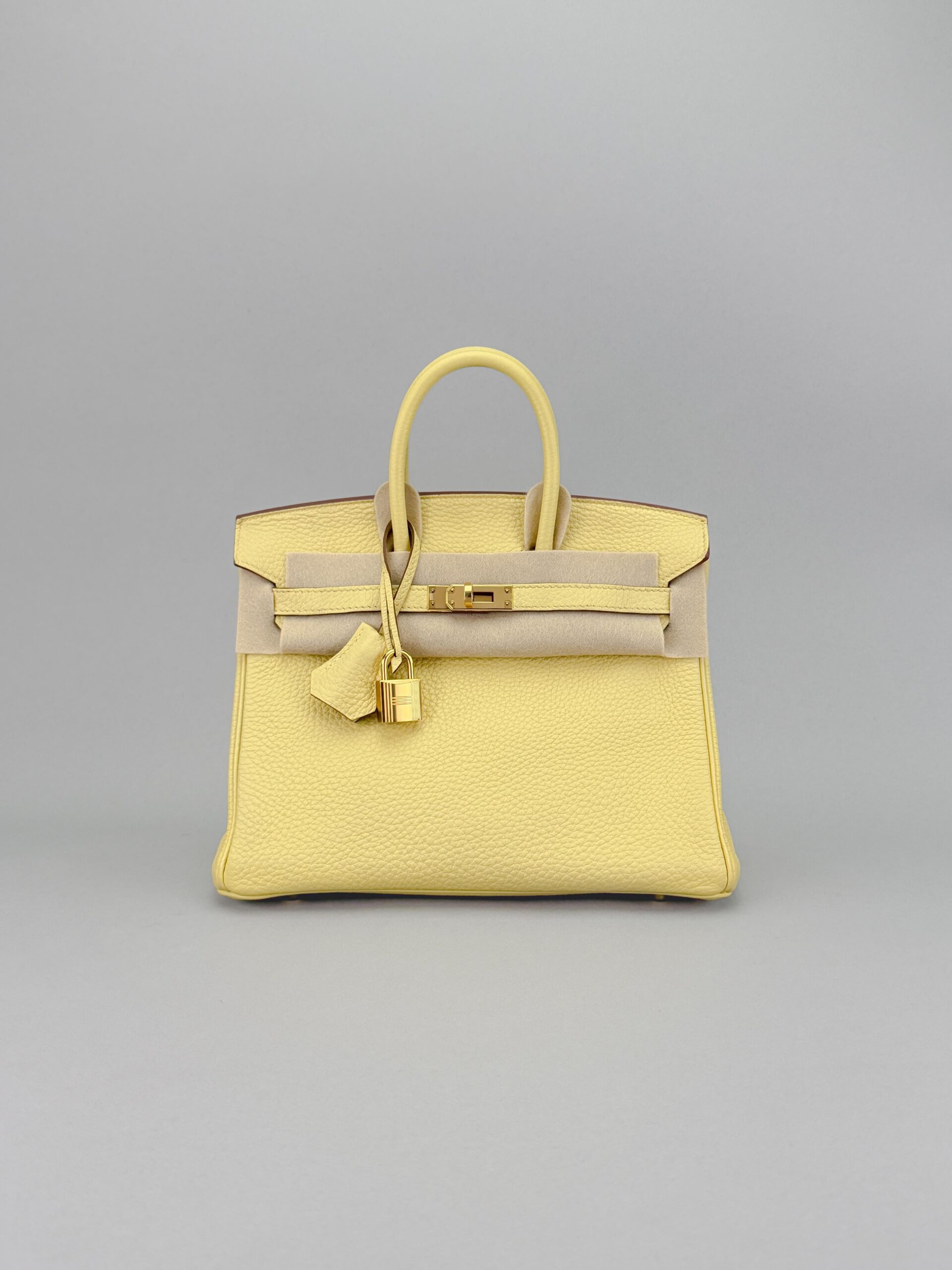 Hermes Birkin 25 Retourne Togo Jaune Poussin Gold Hardware Z Stamp 2021