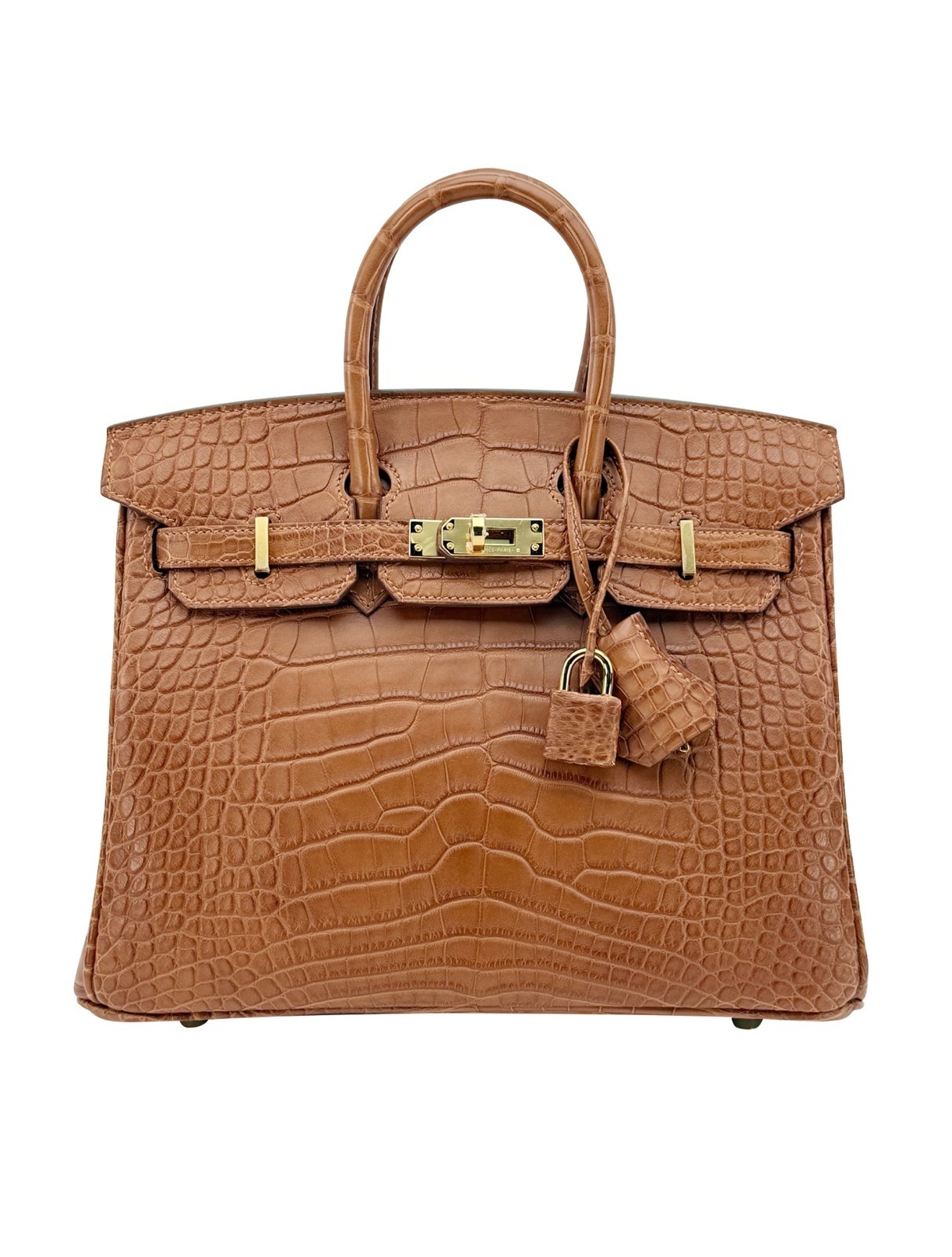 Hermes Birkin 25 Retourne Matte Alligator Gold Gold Hardware K Stamp 2025