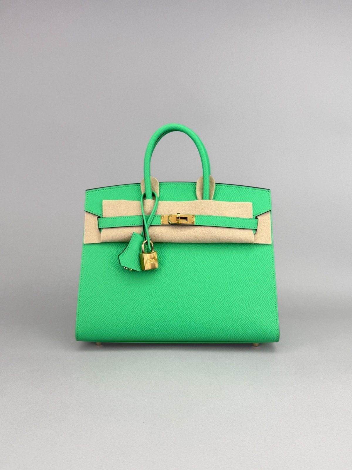 Hermes Birkin 25 Sellier Epsom Vert Comics Gold Hardware W Stamp 2024