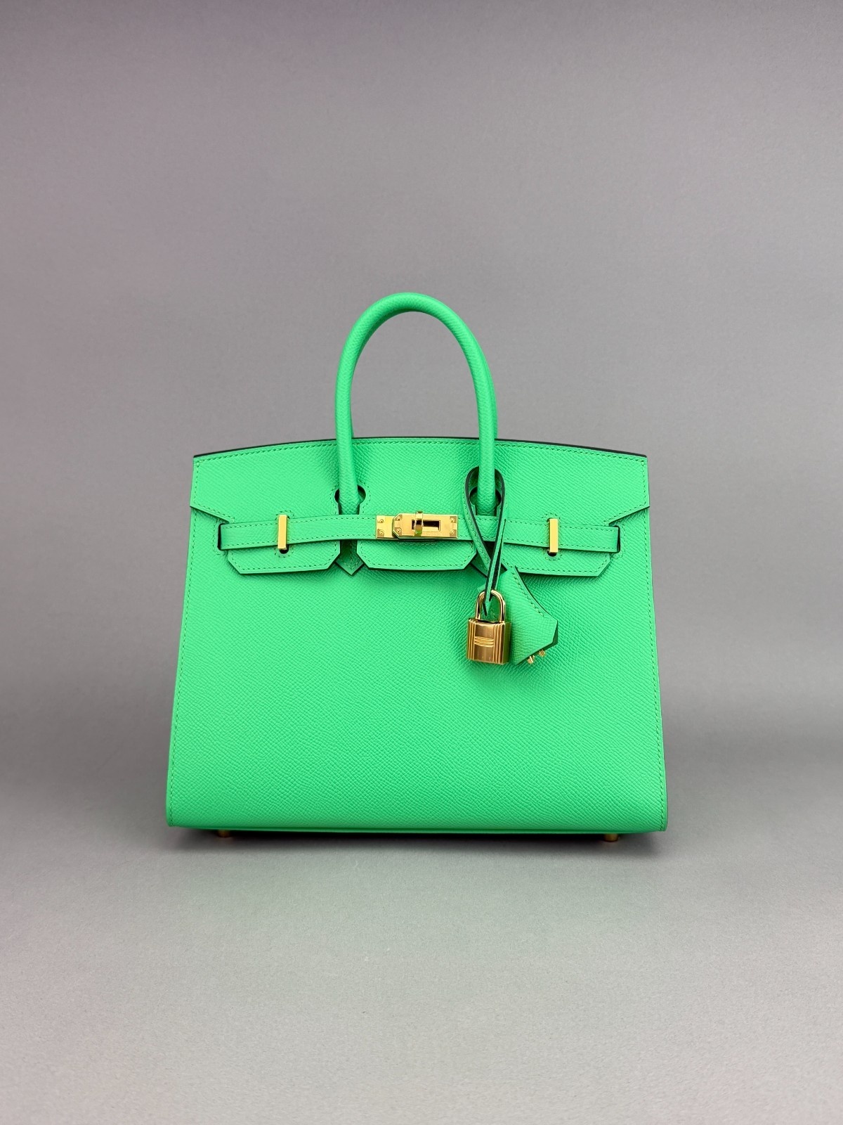 Hermes Birkin 25 Sellier Epsom Vert Comics Gold Hardware W Stamp 2024